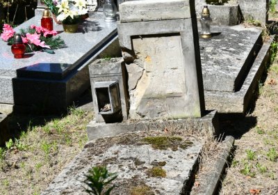 Litoměřice městský, Omnium, 2020