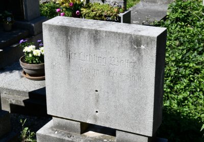 Litoměřice městský, Omnium, 2020
