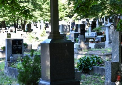 Litoměřice městský, Omnium, 2020