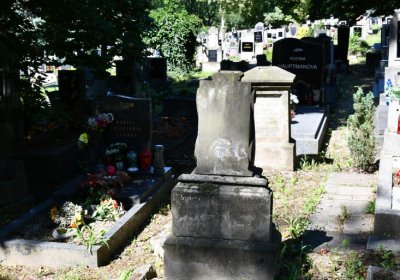 Litoměřice městský, Omnium, 2020