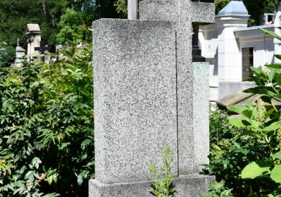 Litoměřice městský, Omnium, 2020