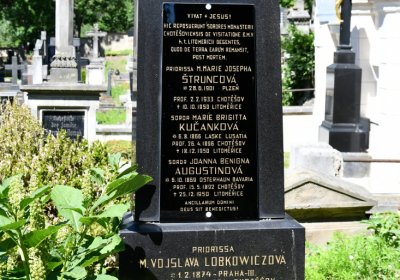 Litoměřice městský, Omnium, 2020