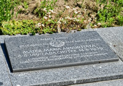 Litoměřice městský, Omnium, 2020
