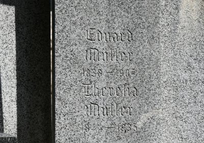 Litoměřice městský, Omnium, 2020