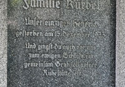 Litoměřice městský, Omnium, 2020