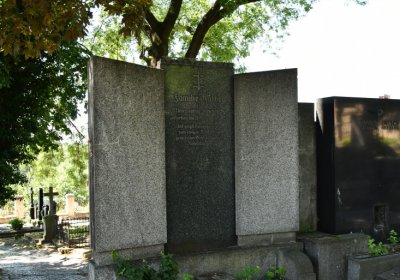 Litoměřice městský, Omnium, 2020