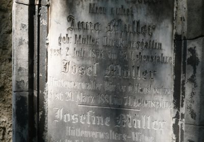 Litoměřice městský, Omnium, 2020