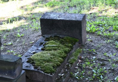 Litoměřice městský, Omnium, 2020