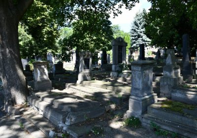 Litoměřice městský, Omnium, 2020