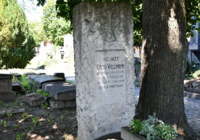 Litoměřice městský, Omnium, 2020