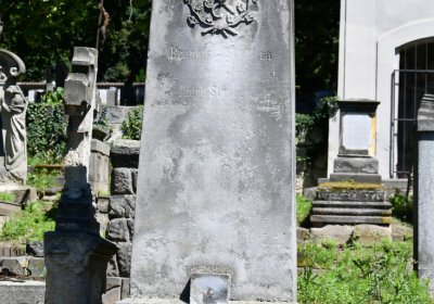 Litoměřice městský, Omnium, 2020