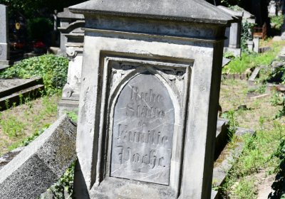 Litoměřice městský, Omnium, 2020