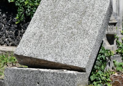 Litoměřice městský, Omnium, 2020