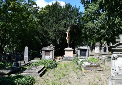 Litoměřice městský, Omnium, 2020