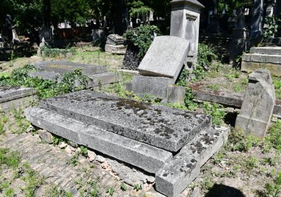 Litoměřice městský, Omnium, 2020