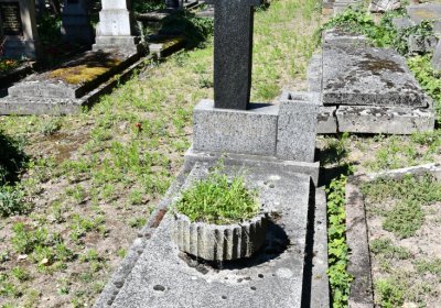 Litoměřice městský, Omnium, 2020
