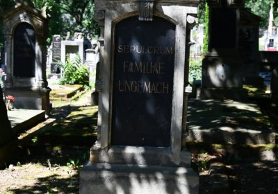 Litoměřice městský, Omnium, 2020