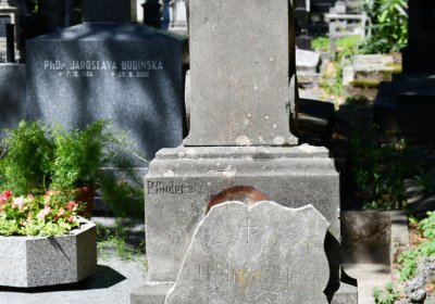 Litoměřice městský, Omnium, 2020
