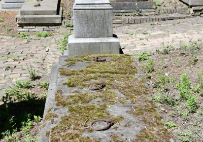 Litoměřice městský, Omnium, 2020
