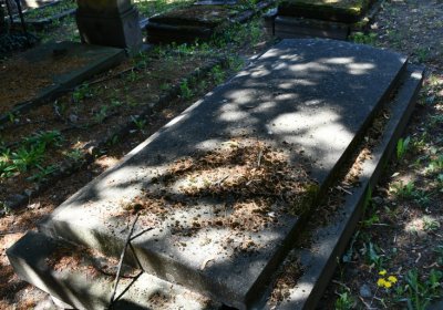Litoměřice městský, Omnium, 2020