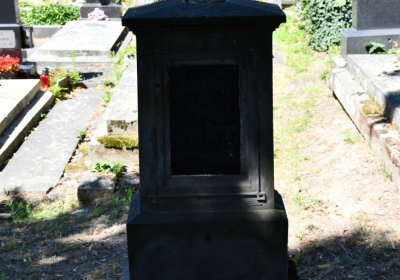 Litoměřice městský, Omnium, 2020