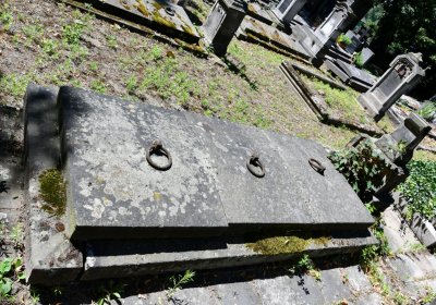 Litoměřice městský, Omnium, 2020