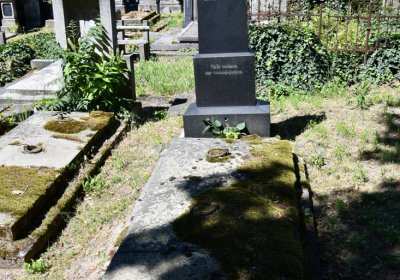 Litoměřice městský, Omnium, 2020