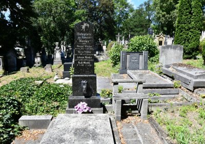 Litoměřice městský, Omnium, 2020