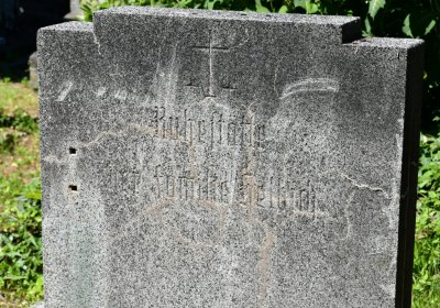 Litoměřice městský, Omnium, 2020