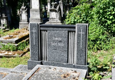 Litoměřice městský, Omnium, 2020