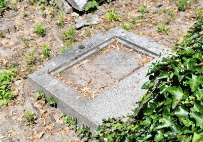 Litoměřice městský, Omnium, 2020