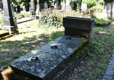 Litoměřice městský, Omnium, 2020