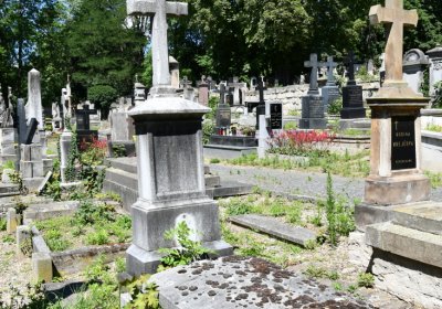 Litoměřice městský, Omnium, 2020