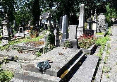 Litoměřice městský, Omnium, 2020