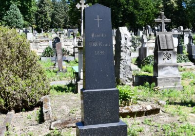 Litoměřice městský, Omnium, 2020