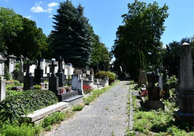 Litoměřice městský, Omnium, 2020