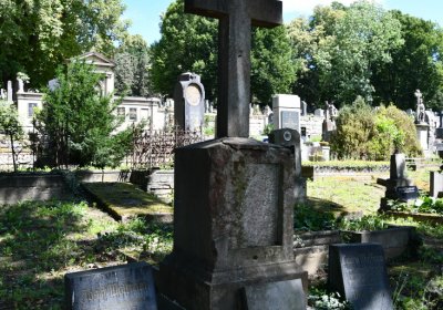 Litoměřice městský, Omnium, 2020
