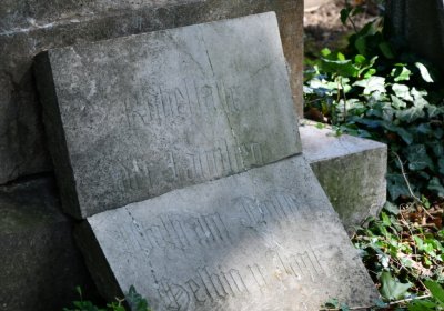 Litoměřice městský, Omnium, 2020