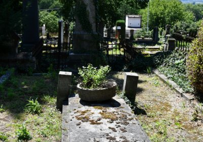 Litoměřice městský, Omnium, 2020