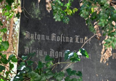 Litoměřice městský, Omnium, 2020