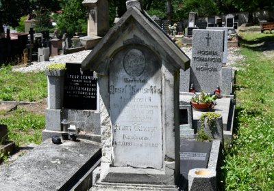 Litoměřice městský, Omnium, 2020