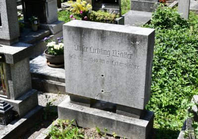 Litoměřice městský, Omnium, 2020