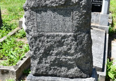 Litoměřice městský, Omnium, 2020