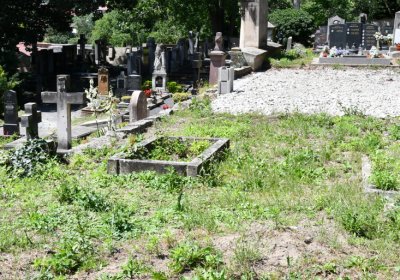 Litoměřice městský, Omnium, 2020