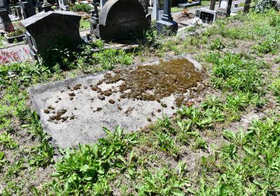 Litoměřice městský, Omnium, 2020