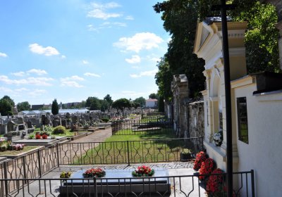 Lovosice, Omnium, 2020