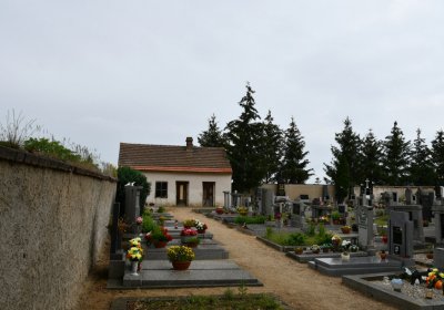 Račiněves, Omnium, 2020