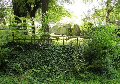 Pulkrtová Eva, 2009