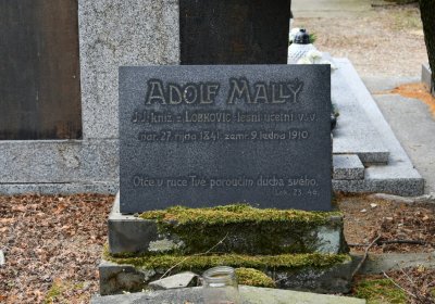 Roudnice nad Labem, Omnium, 2020