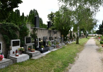 Roudnice nad Labem, Omnium, 2020